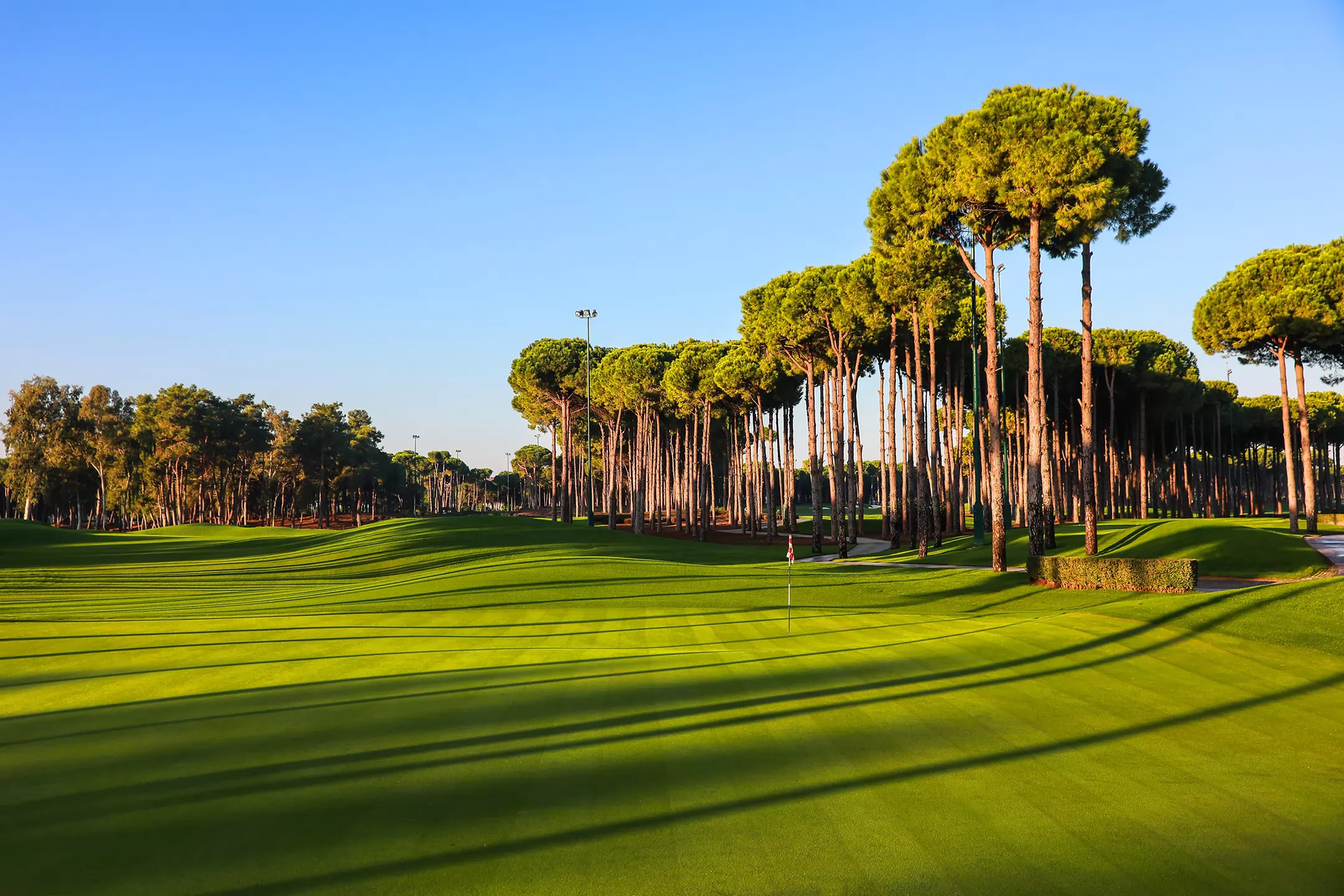 Regnum Carya Golf & Spa Resort