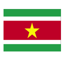 Surinam Vizesi
